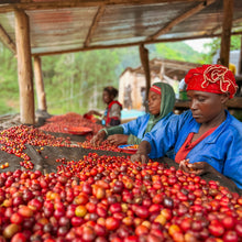 画像をギャラリービューアに読み込む, ’Rwanda Humure Anaerobic Natural
