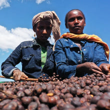 画像をギャラリービューアに読み込む, ’Ethiopia Ana Sora【Wush Wush】
