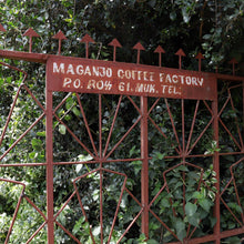 画像をギャラリービューアに読み込む, ’Kenya Nyeri Maganjo AA
