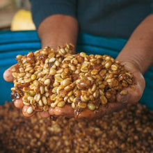 画像をギャラリービューアに読み込む, ’Peru Puente Solaya
