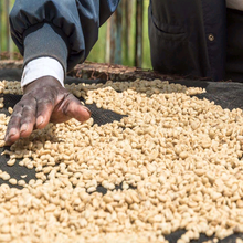 画像をギャラリービューアに読み込む, ’Kenya Nyeri Kamoko AA
