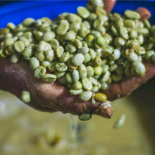 画像をギャラリービューアに読み込む, ’Colombia Monteblanco Passion Fruit Washed
