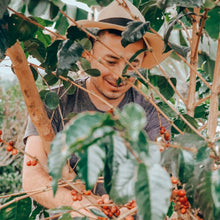 画像をギャラリービューアに読み込む, ’Colombia El Paraiso【Lychee Lot】
