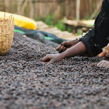 画像をギャラリービューアに読み込む, ’Ethiopia Arsosala
