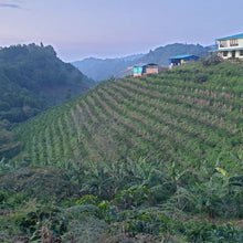 画像をギャラリービューアに読み込む, ’Colombia Granja Paraiso 92【Pink Bourbon】
