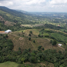 画像をギャラリービューアに読み込む, ’Colombia Granja Paraiso 92【Java】
