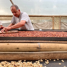 画像をギャラリービューアに読み込む, ’Colombia Red Anaerobic 1000h
