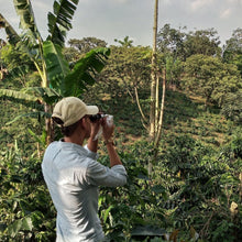 画像をギャラリービューアに読み込む, ’Colombia Sierra Nevada【Gesha】
